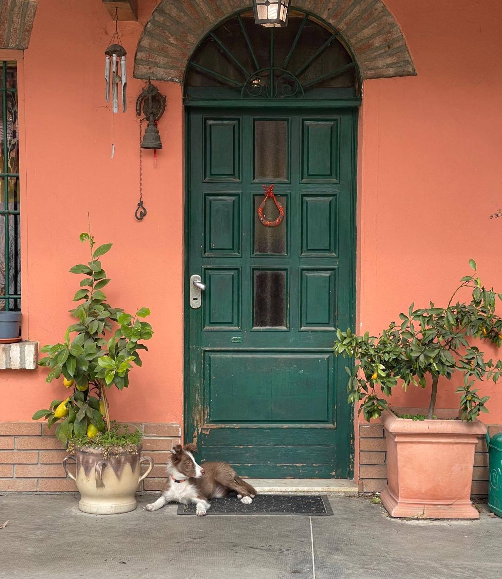 B&B La Cascina Di Alice Castiglione Delle Stiviere Extérieur photo